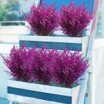 12 bundels kunstlavendel struiken, voor buiten, balkonplanten, weerbestendige uv-bestendige plastic bloemen voor outdoor, binnen, balkon, tuin, balkonbakken, fuchsia