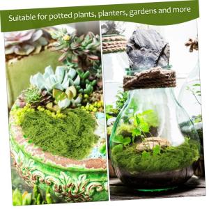 dekoratives Moos Rentier Moos Weihnachtsmoos Moos für Pflanzen Terrarienmoos Moos für den Garten Moos für DIY-Projekte Moosdekor Künstliches Moos Seidenzahnseide Light Green