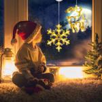 Kerstverlichting – 10 led-lichtgordijnen, werkt op batterijen, warme Biacno timer, decoratieve kerstverlichting voor kerstboom, raam, deur, bruiloft (sneeuwvlok en eland)