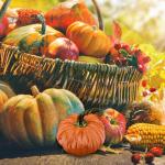 Samt-Set – Künstliche Kürbisse Mit Echten Stielen In Verschiedenen Größen – Für Halloween, Thanksgiving, Herbstdekoration, Erntefest Und Präsentation, Luxuriöse, Realist