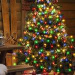 2m kerstboom Werplichtketting met ring, kerstboomverlichting Overworplichtketting met 8 slingers 280 LED-lichtketting voor 150cm 180cm 210cm 240cm boom - kleurrijk