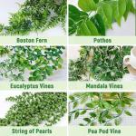 , 4 potten, hangplanten, binnen, eucalyptus, groen, decoratie voor thuis, badkamer, boerderij, kamer, rek