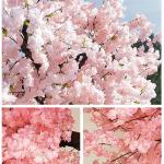 Dichte Kunstmatige Kersenbloesem Bomen, Prachtige Wensboom Roze Zijde Nep Sakura Bloem Binnen Buiten Home Kantoor Simulatie Planten,1.8x1.5m