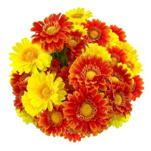 30 hoofden kunstmatige gerbera madeliefjes met dauwdruppel, 2 kleuren zijden madeliefjes die er echt uitzien met 3 vormige bladeren, nepbloemen die schitteren in het zonlicht voor