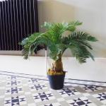 Realistische künstliche Palme und Tropische Bäume im Topf – fertig zum Ausstellen