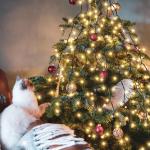3m kerstboomverlichting met ring, kerstboom werp lichte ketting met 10 slingers 350 LED-lichtketting Waterdicht voor 120cm - 350cm boom, dennenboom, groene riem, struiken - warm wi