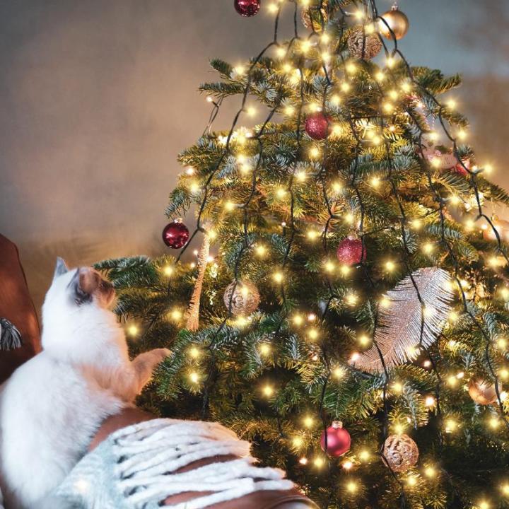 3m kerstboomverlichting met ring, kerstboom werp lichte ketting met 10 slingers 350 LED-lichtketting Waterdicht voor 120cm - 350cm boom, dennenboom, groene riem, struiken - warm wi