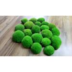 Hello Moss Geconserveerd mos 5/8/20 stuks - Mos geconserveerd - Kogelmos geconserveerd voor uw huis - Maak een mosafbeelding - Geschikt als mos voor terraria en bossen in glas