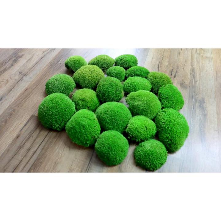 Hello Moss Geconserveerd mos 5/8/20 stuks - Mos geconserveerd - Kogelmos geconserveerd voor uw huis - Maak een mosafbeelding - Geschikt als mos voor terraria en bossen in glas