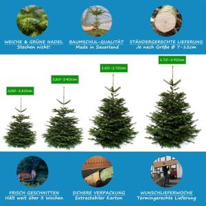 Echte Nordmann-kerstboom uit het Sauerland, 120-140cm, groen