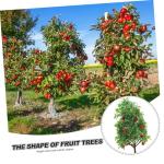 2 Sätze Obstbaum-Modell Baumförmiges Dekor Obstbaumspielzeug Architektur Gefälschte Bäume Simulationsbaumverzierungen Mini- Sandkasten-miniaturen Green Plastik 2 Stück * 2