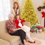 Weihnachtsbaum Christbaum Künstliche Weihnachtsbäume Eignen Sich for Weihnachtsdekorationen Im Innen- Und Außenbereich. Künstlicher Weihnachtsbaum(1.2m)