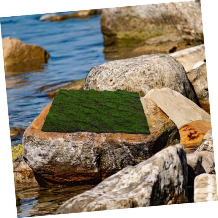 Simulierter Moosrasen Graswand Bonsai Dekoration kunstgras deko DIY-Dekoration Hintergrund Dekoration künstliche grüne Wand Kunstgrüne Wand Blumen Wandpaneel Perlenbaumwolle
