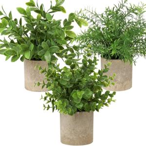in pot, , klein als echt, 3 stuks, bureauplanten, mini-voor tafeldecoratie, huis, balkon, kantoor, decoratie #1