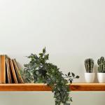 kunstplant hangplant met pot, set van 2, namaakplanten, realistische nepplanten, HxØ: 60 x 20 cm, groen/zwart