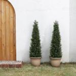 Kunstplant ceder 150 cm in pot, coniferen kunstmatig outdoor UV beschermd voor huis woonkamer tuin veranda decoratie (2 stuks)