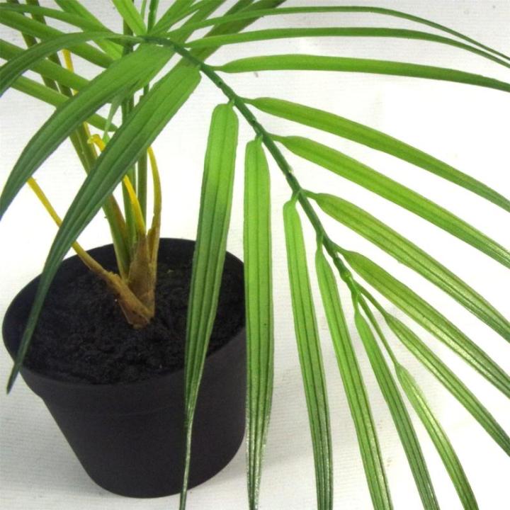 Realistische künstliche Palme und Tropische Bäume im Topf – fertig zum Ausstellen