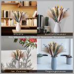 Gedroogde pampasdecoratie, natuurlijke gedroogde bloemen, 100 stuks, doe-het-zelf, gedroogde bloemen, boeket, ideaal voor boho, woonkamer, bruiloft, slaapkamer en vazen (LZGSGO-010