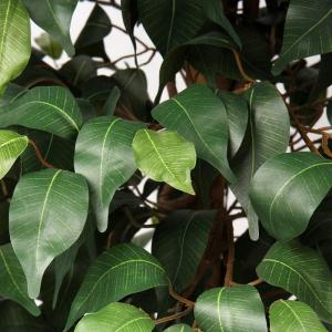 Ficus Benjamini , grote kunstboom, 123 cm hoog met 672 bladeren, ideaal voor de eetkamer en entree en interieurdecoratie