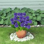 Fake Flowers 36 Stück Künstliche Hortensienblüten Real Touch Künstlich Blumen wie Echte Hortensien für Hochzeit Zuhause Hotel Party Blumenarrangement 0505