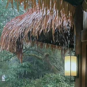 Künstliches Strohdach, Künstliche Strohrolle, Kunststoff Gefälschtes Strohdach, Künstliche Palmen-Strohrollen, Kunststoff PE Strohdach, Simulation Strohfliese, Für Garten Pavi