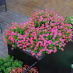 Kunstbloemen voor buiten, uv-bestendig, , bloemen in grote hoeveelheden voor het ophangen van plantenbakken, buiten, veranda, vaas, thuis, raamdecoratie, 6 bundels, roze