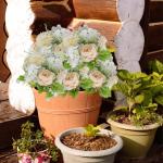 Artificial Flowers Pioenrozen, kunstbloemen, decoratie, bruiloft, boeket, , kunstbloemen, echt gevoel, wit boeket 1013