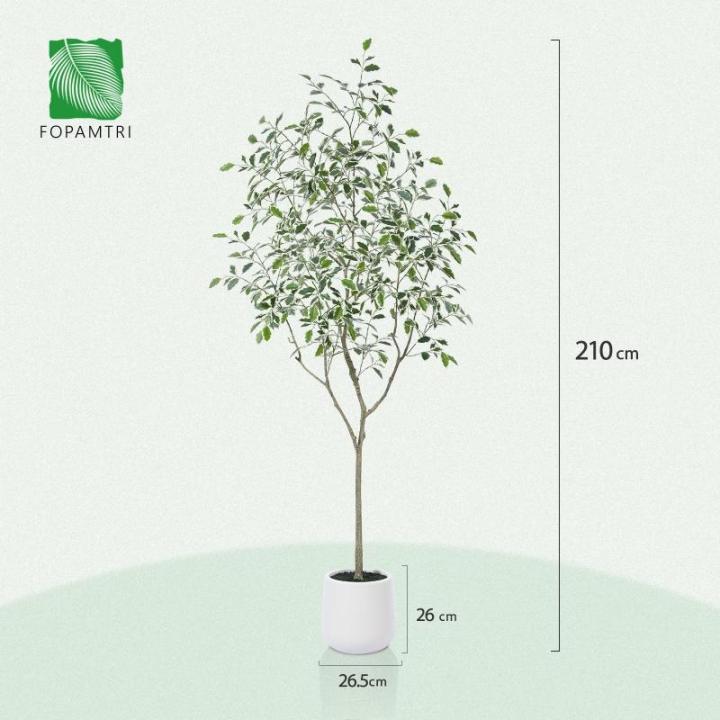 Ficus Benjamina Kunstplant 210 cm, witte pot, nep tropische plastic , groot voor woondecoratie, slaapkamer, tuin (1 stuks)