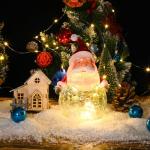 Mooie en het beestroos, rozencadeau voor vriendin, eeuwige bloem in glas, unieke cadeaus voor vrouwen, verjaardag, Valentijnsdag, Thanksgiving, Kerstmis, jubileum, kerstman