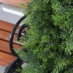 Kunstplant ceder 120 cm in pot, coniferen kunstmatig outdoor UV beschermd voor huis woonkamer tuin veranda decoratie (2 stuks)