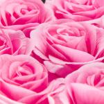 Rozenbox rond, 8 rozen, stevige bloemenbox, zwart, 10 jaar houdbaar, cadeau-idee, decoratieve bloemenbox, roze, 17 x 17 x 17 cm