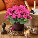, 3 bundels voor buiten en binnen, namaak-geranium, zijden bloemen, decoratie, kunst-uv-bestendig, geraniumstruik voor hangende tuin, veranda, raam, box, decoratie, rozerood