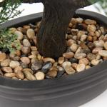 Kunstbonsai Natuurgetrouwe kunstplant, kunstboom, bonsai, ceder, grenen, podocarpus, plastic plant, kunstplant met keramische pot in zwart, voor badkamerdecoratie, desktop, kantoor
