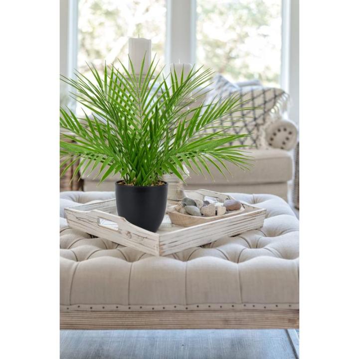 Kunstplant 38 cm nepplanten in potten kunstmatige areca palmplant decoratieve in pot realistische tropische kamerplant binnen voor thuiskantoor slaapkamer badkamer keuken bureau de