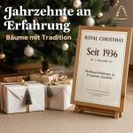 Weihnachtsbaum künstlich 210cm inkl. Metallständer - Naturgetreu mit dichten Zweigen - Künstlicher Weihnachtsbaum für Innen- & Außenbereich –Tannenbaum künstlich