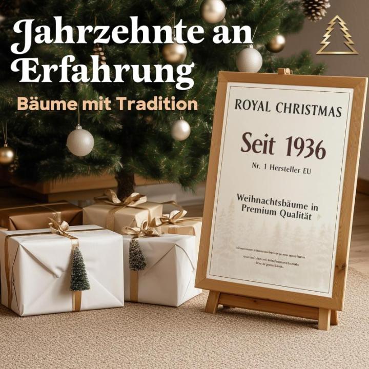 Weihnachtsbaum künstlich 210cm inkl. Metallständer - Naturgetreu mit dichten Zweigen - Künstlicher Weihnachtsbaum für Innen- & Außenbereich –Tannenbaum künstlich