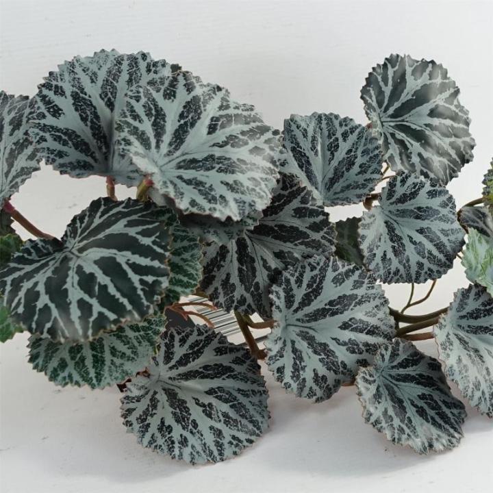 Ontwerp UK Realistische Kunstmatige Bladplant met Pot