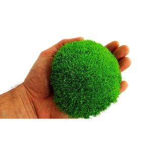 Hello Moss Geconserveerde mosballen, 5 stuks, mosdecoratie voor jou, geconserveerd bolmos voor je huis, maak een mosafbeelding, geschikt als mos voor terraria en bossen in glas