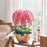 Kunstblumen Künstliches Phalaenopsis-Blumenarrangement – ​​Seidenorchideen für Heimdekoration, Hochzeiten, Partys und Büro – lebensecht für jeden Anlass