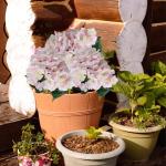 Artificial Flowers 1113 Kunstbloemen, 72 stuks, strooidecoratie, decoratie, bloemen, decoratieve bloemen, voor doe-het-zelf knutselen, feesten, roze