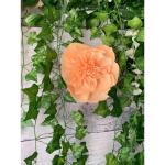 2 Stück künstliche Girlande Efeu Ranken Deko Girlande Efeugirlande, Kunst Pflanze hängen ranke für Hochzeit, Party, Zimmer, Wand,Balkon, Garten,Terrasse, Wohnung usw Deko