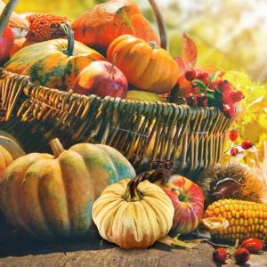 Minis Samt-Kürbisse – Künstliche Künstliche Dekorative Bunte Schaumstoff-Kürbisse | Handgemachte Halloween-Ernte-Gemüse-künstliche Simulations-Kürbisse, Bauernhaus-rustika