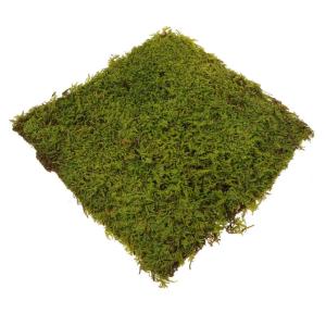 Kunstrasen kunstgras kunstgräser gräser künstlich künstliches Gras deko Gras Teppich Sandtisch, schneidbarer Rasen Zuschneidbare Matte für Sandtisch grüner Rasen Perlenbaumwo