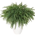 Kerstdennentakken, 12 stuks, kunstkersttakken, doe-het-zelf knutselen, Kerstmis, , 45 cm, takken voor Kerstmis, binnen, buiten, wooncultuur (12)