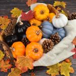 12 Stück kleine künstliche lebensechte Kürbisse Herbsternte Kürbisse für Herbsternte Dekor Halloween-Dekorationen