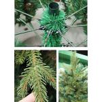 2,0 m umweltfreundlicher künstlicher Weihnachtsbaum aus PVC, hochwertige Fichte mit Scharnier und Metallständer, Dekoration für den Weihnachtsbaum, für Zuhause, Büro, Ges，Gr