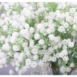 , 53 cm, gypsophila, echte aanraking, boeketten voor bruiloft of thuis DIY doe-het-zelf decoratie, 24 stuks
