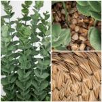 Kunstplant eucalyptus kunstplant lijkt op echte kamerplanten, decoratieve planten in gevlochten zeegras, pot, hoogte 39 cm
