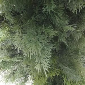 Cedar 7506-7505-7504-7503-7502-7501 Künstlicher Zedernholz/Zypressen-Formschnitt-Baum, UV-geschützt, Kunststoff, 130 cm