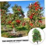 3 Sätze Obstbaum-Modell Baummodellierung Dekor Künstlicher Obstbaum Künstliche Modellbäume Figuren Zum Basteln Palmier Obstbäume Blumentopf-dekor Plastik Green 2 Stück * 3